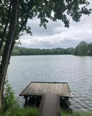 Lovely exploring our local areas with our puppy. Today we explored the lakes only 10 minutes away by car #walks #walkswithmydog #etangs #lakes #nature #fitnessgirl #oise #hautdefrance #gitedefrance #gite #picardie #tourisme #travel #france #vacances #bankholiday #jourferie #vakantie