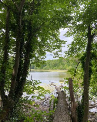 Great walks and cycling routes on our doorstep  #walk #sunday #dimanche #fitness #holidays #vacances #vakantie #tourisme #traveller #cycling #freshair #gites #oise #picardie #france #hautdefrancetourisme #chantilly #gitedefrance