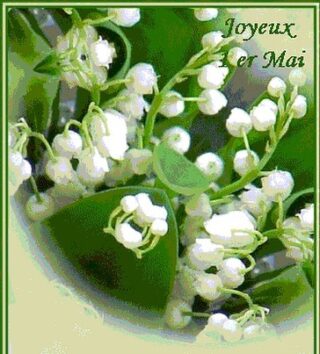 You know it's May in France when sprigs of fragrant 'muguet' (lily of the valley) are sold by vendors from pop-up stands on seemingly every street corner. The flowers are said to bring good luck, and they are given in abundance to friends, family, and neighbors #friends #family #neighbours #holidays #vakantie #vacances #france #oise #gite #hautdefrance #muguet #bonheur