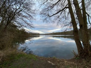 Another day another lake in the Oise #oise #chantilly #tourism #senlis #lac #walk #dog #chien #naturelovers #vacances #famille #fitnessmotivation
